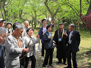 吉崎の七不思議 こうなごの由来